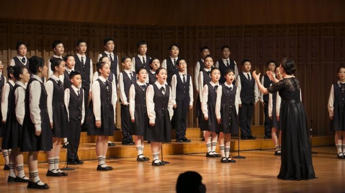 青少年歌唱大賽，激情與才華的較量，青春旋律的碰撞