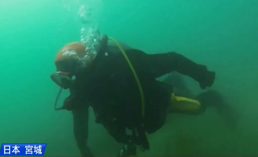 日本2017年水下新動向揭秘