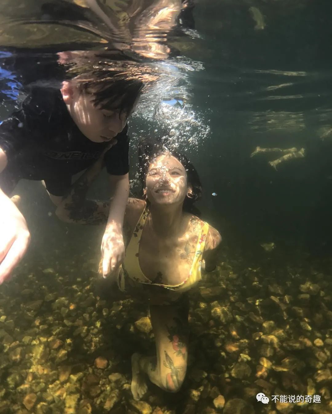 日本2017年水下新動向揭秘