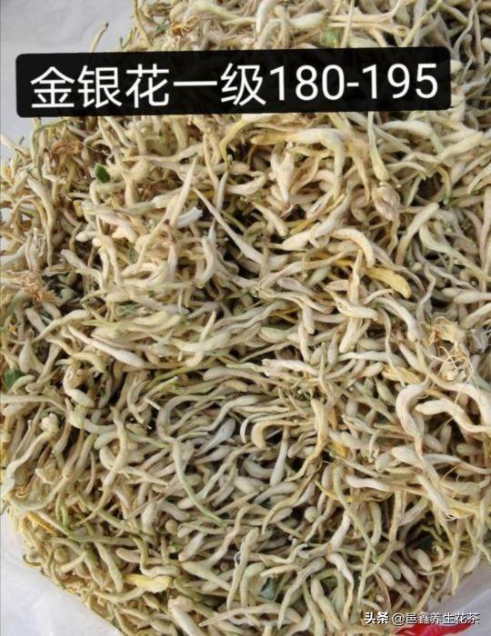 最新金銀花動(dòng)態(tài)與信息速遞