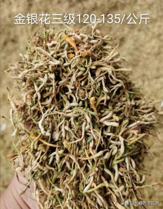 最新金銀花動(dòng)態(tài)與信息速遞