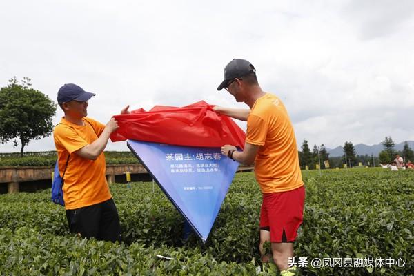 上海今日鋅價格行情，科技與生活的無縫對接