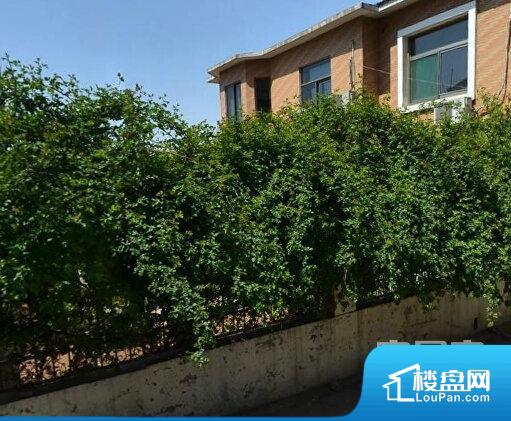 濟(jì)南河泰山莊最新住宅價(jià)格概覽與動態(tài)分析