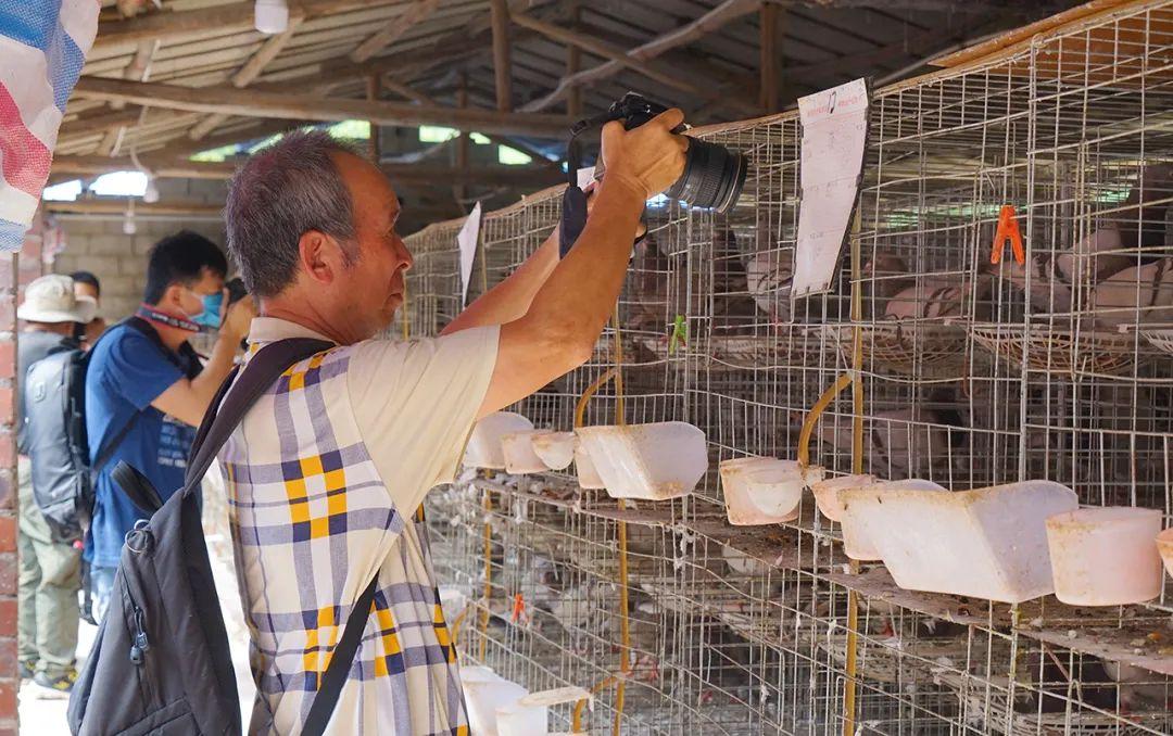 決戰(zhàn)江南電視劇演員表——自然美景中的探索之旅與演員群像展示