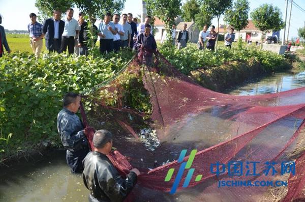 射陽最新招標(biāo)信息全面概覽