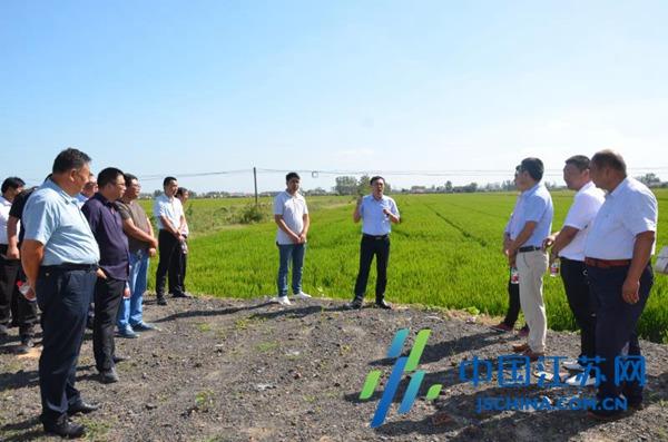 射陽最新招標(biāo)信息全面概覽