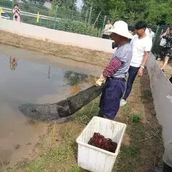 養(yǎng)殖公司上市,養(yǎng)殖公司上市，一場探索自然美景的喜悅之旅