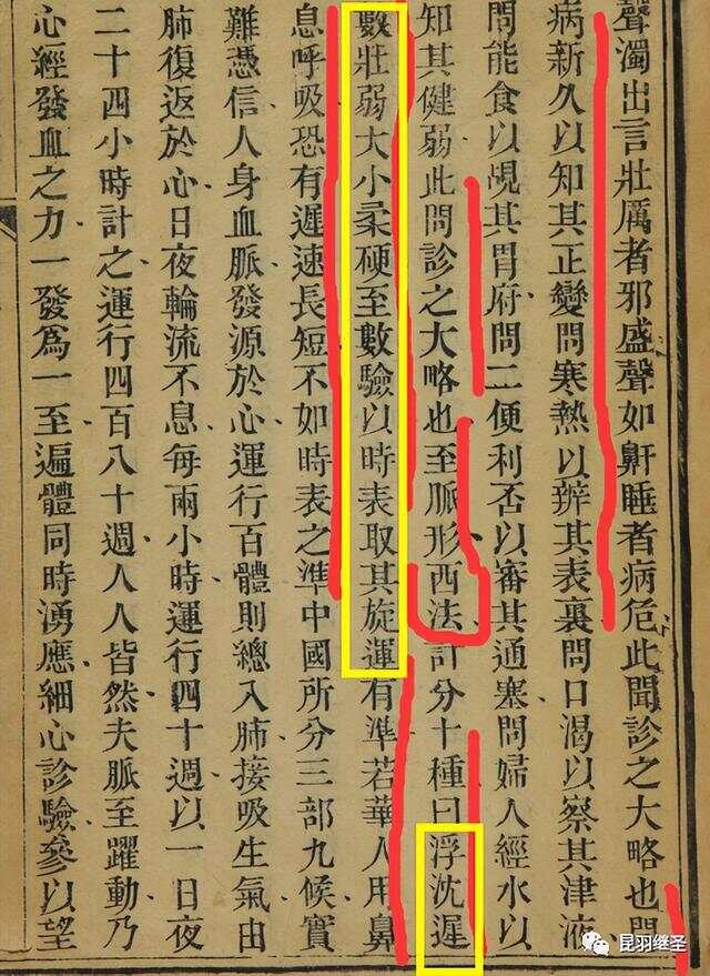 消瑤派科技新星重塑生活體驗(yàn)的最新文章閱讀