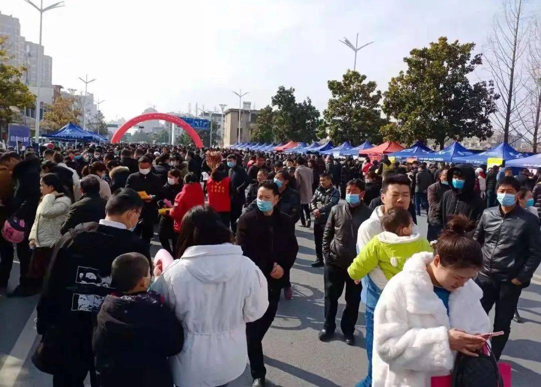 泗洪開發(fā)區(qū)招聘信息背后的故事與求職指南