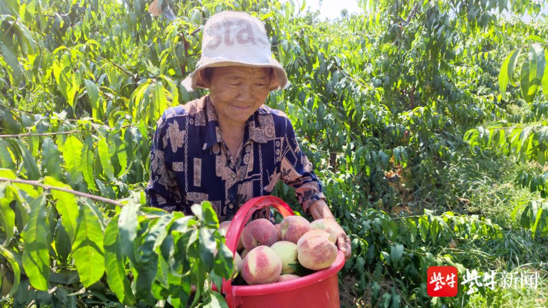 最新果樹(shù)技術(shù)人員招聘啟事