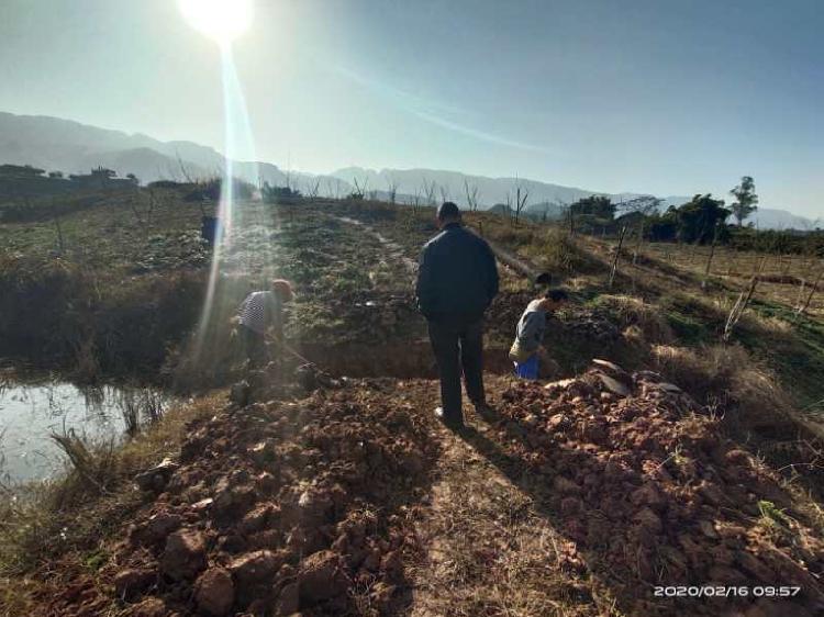 最新果樹(shù)技術(shù)人員招聘啟事