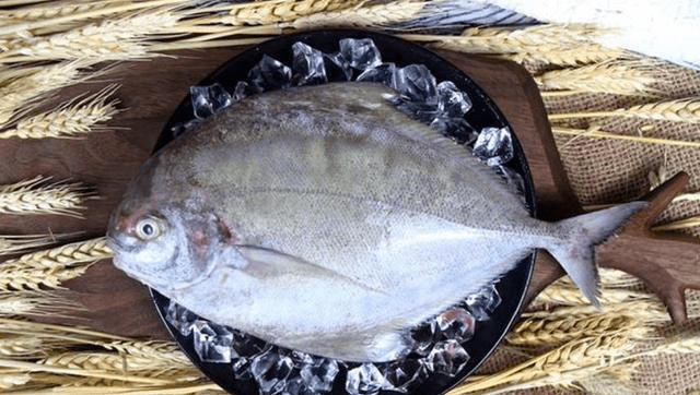 海魚市場波瀾壯闊的行情變遷