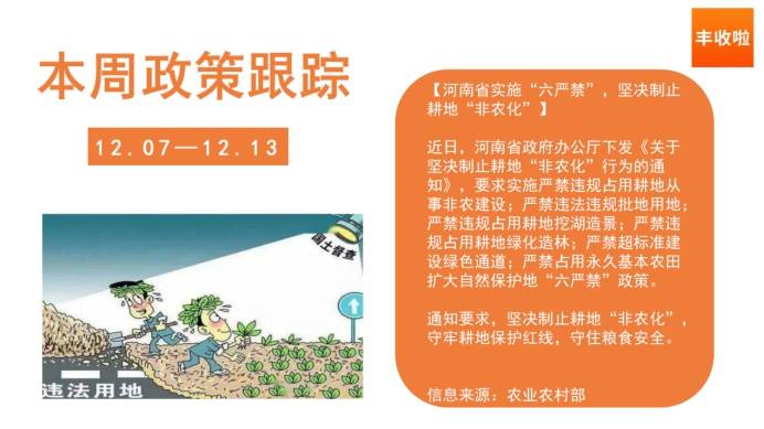 最新三農(nóng)政策資訊解讀與動態(tài)更新