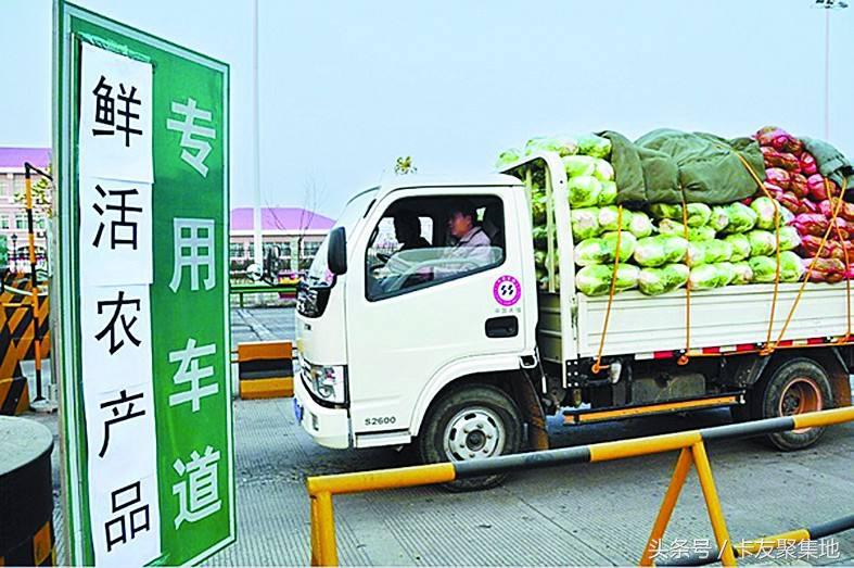 全國危貨司機最新招聘信息詳解與應聘步驟指南