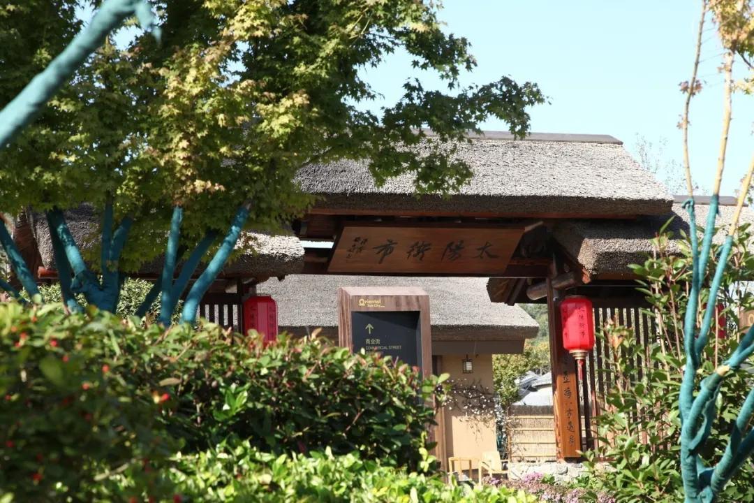 日照貼吧最新資訊更新速遞