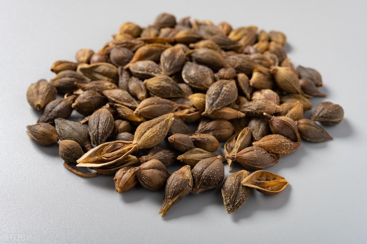 秦艽價(jià)格行情解析及趨勢(shì)分析