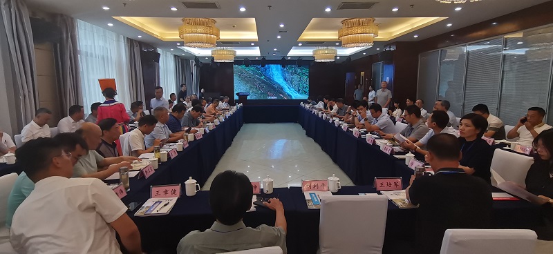 陜西寧強最新動態(tài)——歡樂時光記錄溫馨日常