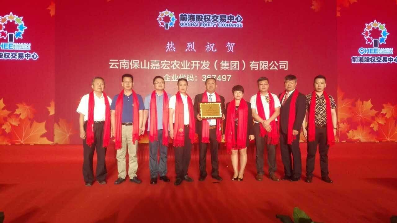 市場波動下的檸檬收購價格多元視角分析