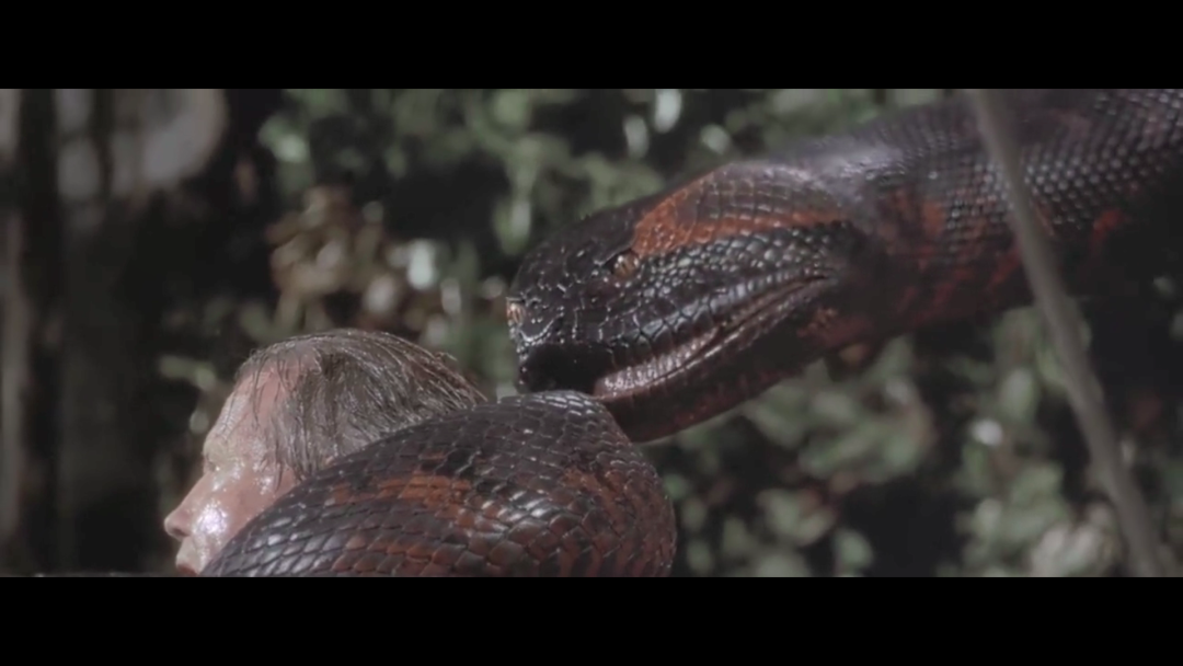 蛇災(zāi)片最新與小巷秘密特色小店揭秘