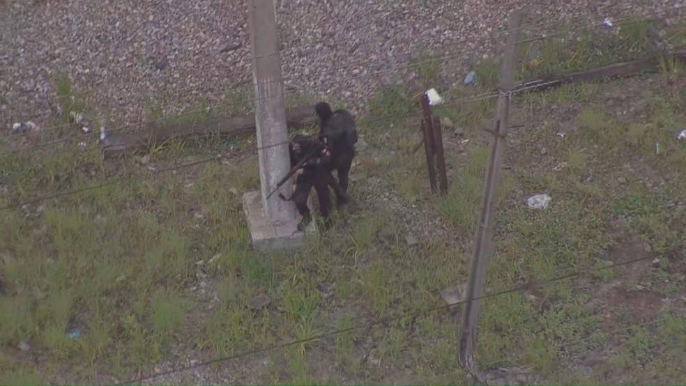 疫情最新法令詳解及最新動態(tài)??