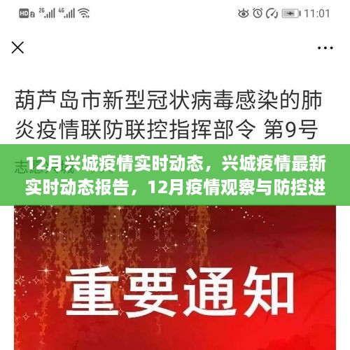 興城最新事件報(bào)道速遞