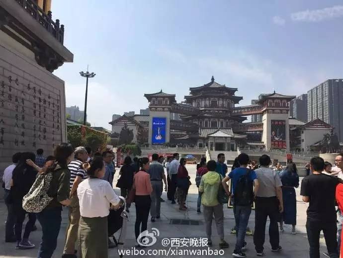 大唐西市最新動態(tài)，自然美景探尋之旅