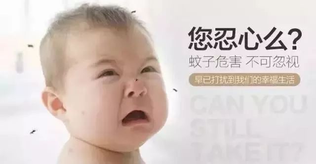 關(guān)于血熱病的最新觀點闡述