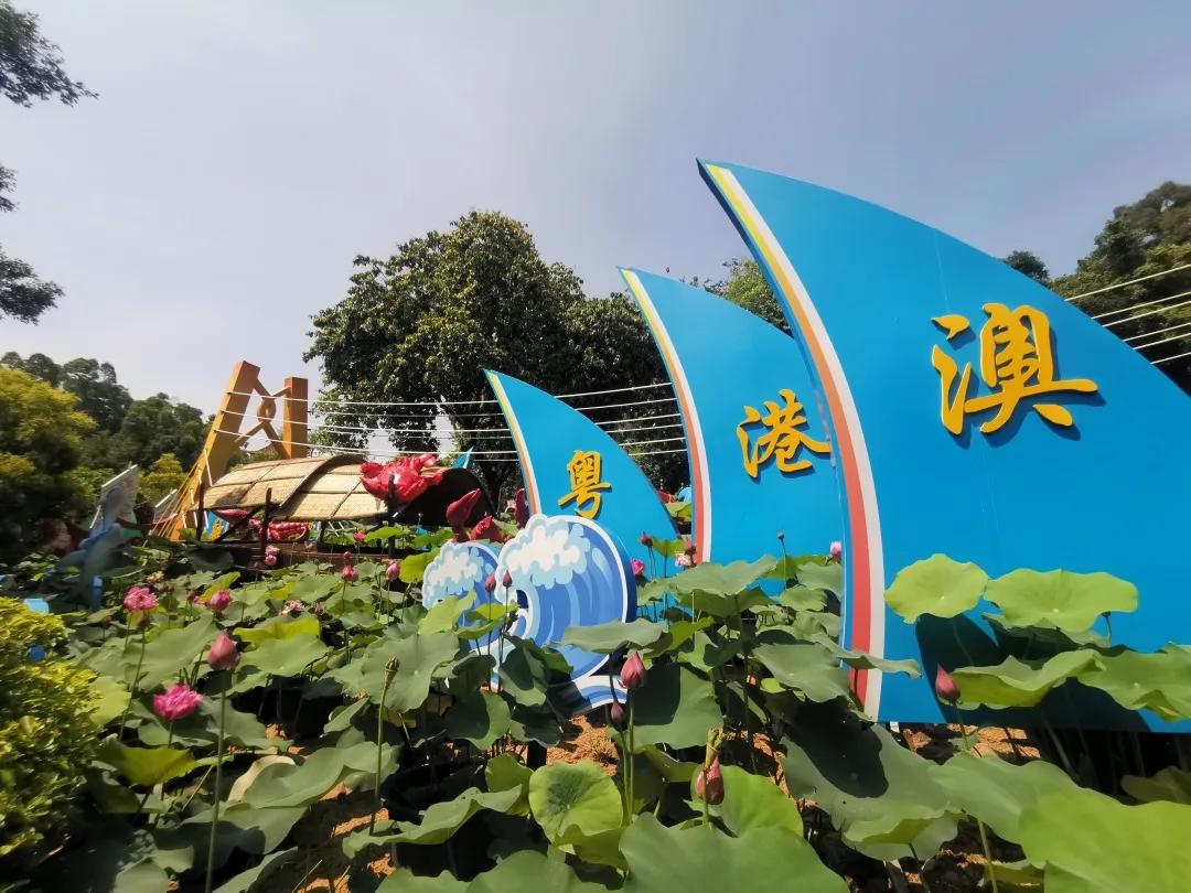 粵融貸最新動態(tài)及分析觀點闡述