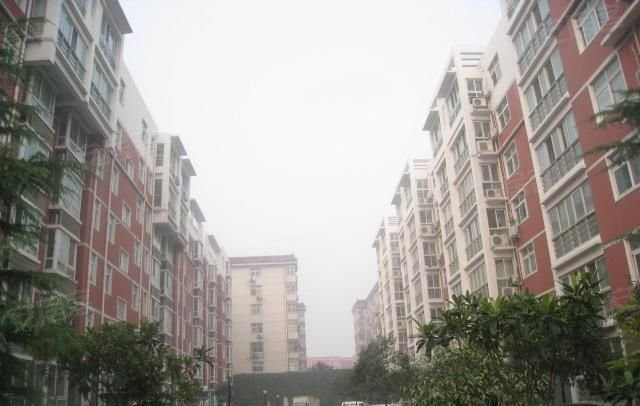 鄭州金地苑最新進展更新速遞