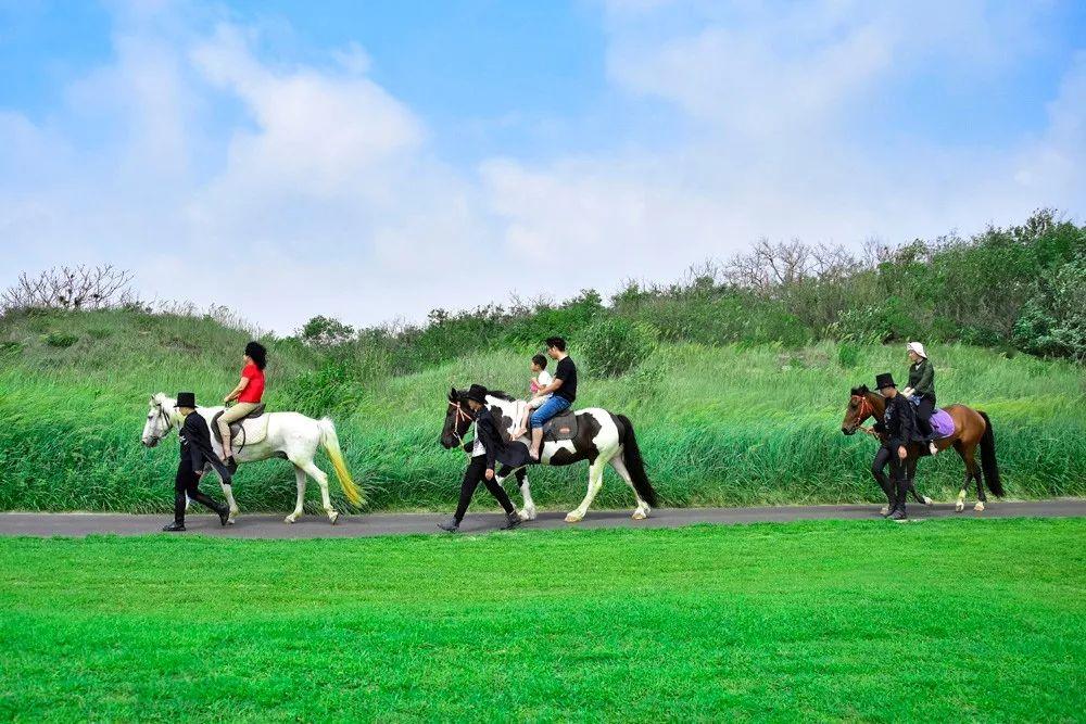 陵水海風小鎮(zhèn)建設(shè)最新進展更新