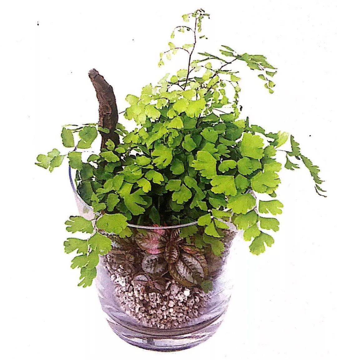 二重5最新消息揭秘，細(xì)節(jié)重磅來(lái)襲！