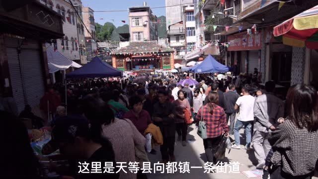 天等向都鎮(zhèn)最新動(dòng)態(tài)更新