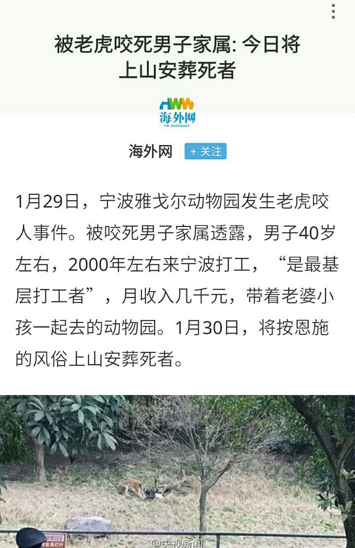 寧波老虎咬人事件最新進展更新