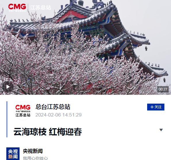 和安梅花城最新動(dòng)態(tài)更新