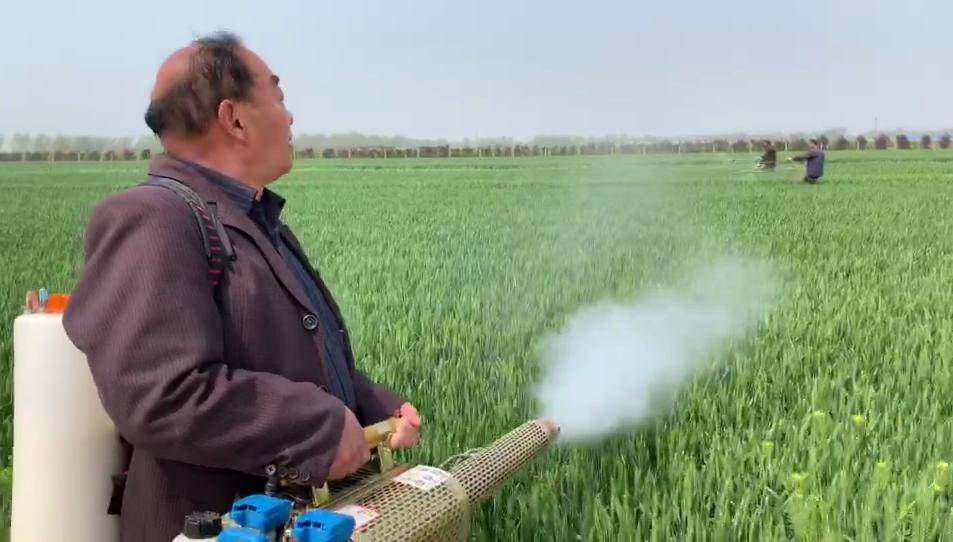 鴨河工區(qū)2025最新動態(tài)及發(fā)展前景深度解析