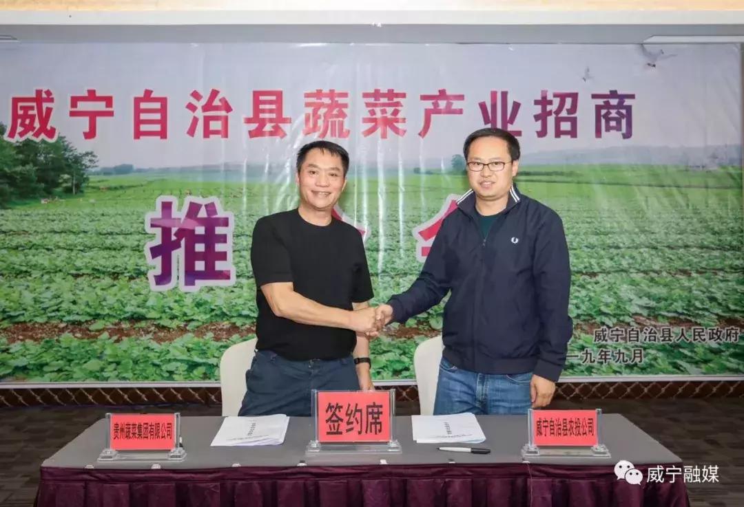 威寧雙龍鎮(zhèn)最新動(dòng)態(tài)，小巷深處的獨(dú)特風(fēng)味