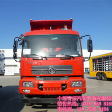 最新款輕量化貨車價(jià)格，路上的伙伴與溫情陪伴