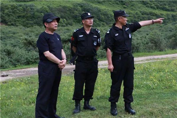 岷縣公安網(wǎng)新動態(tài)，力量變革與成就之路的勵(lì)志篇章