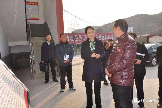 丹鳳鄭曉燕的最新動(dòng)態(tài)更新消息揭秘