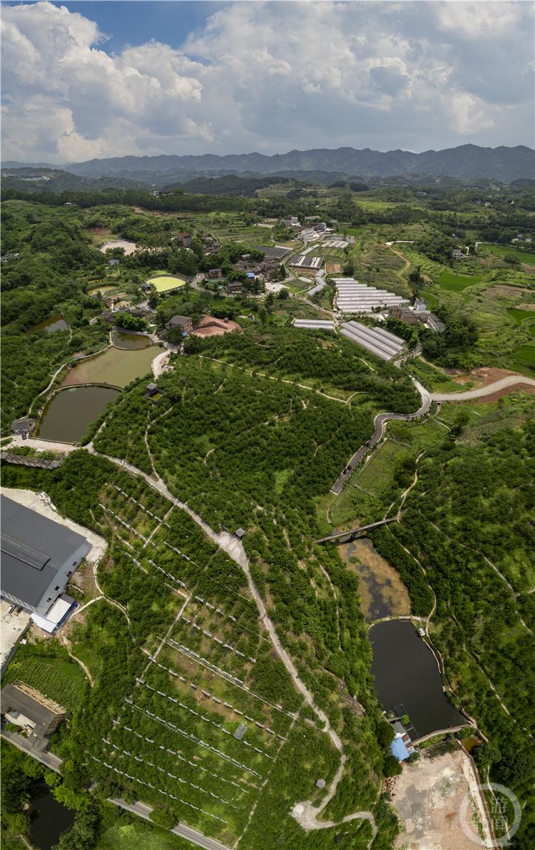 仙桃今日新聞快報(bào)，最新消息匯總