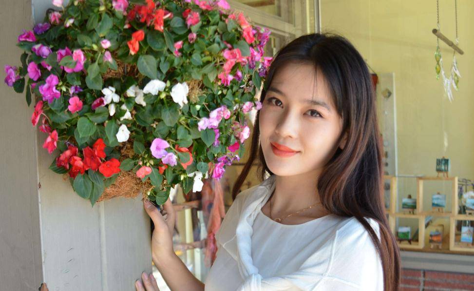 趙韓櫻子最新電視劇，自然美景的治愈之旅探索