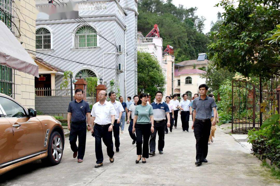 定南徐美清最新動(dòng)態(tài)，自然美景探索之旅，尋找內(nèi)心平和與喜悅的旅程