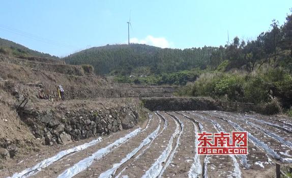 莆田坪洋村新貌，變化中的村莊，自信與成就感的源泉最新消息