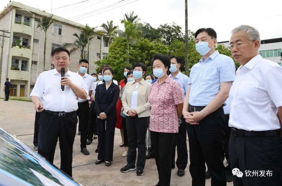 企石東江大橋最新動(dòng)態(tài)及全面指南與技能學(xué)習(xí)教程
