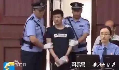 蘇銀霞事件最新進展與影響深度聚焦