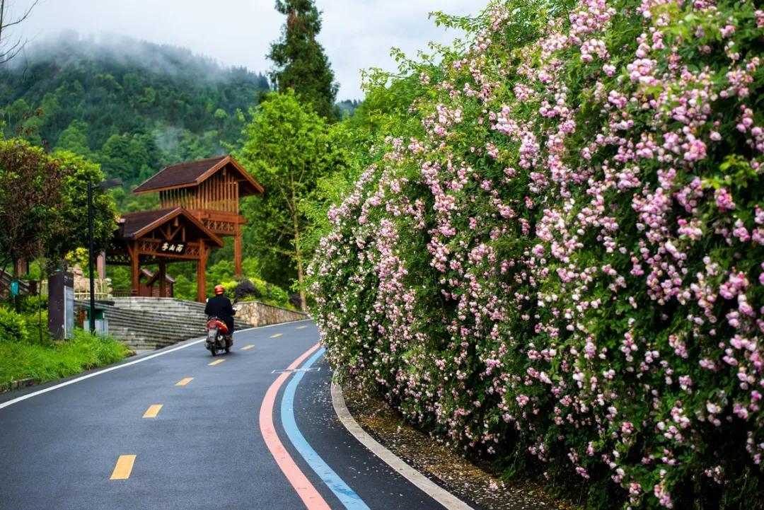 成都地鐵6號線最新站點詳解，全面解讀與期待