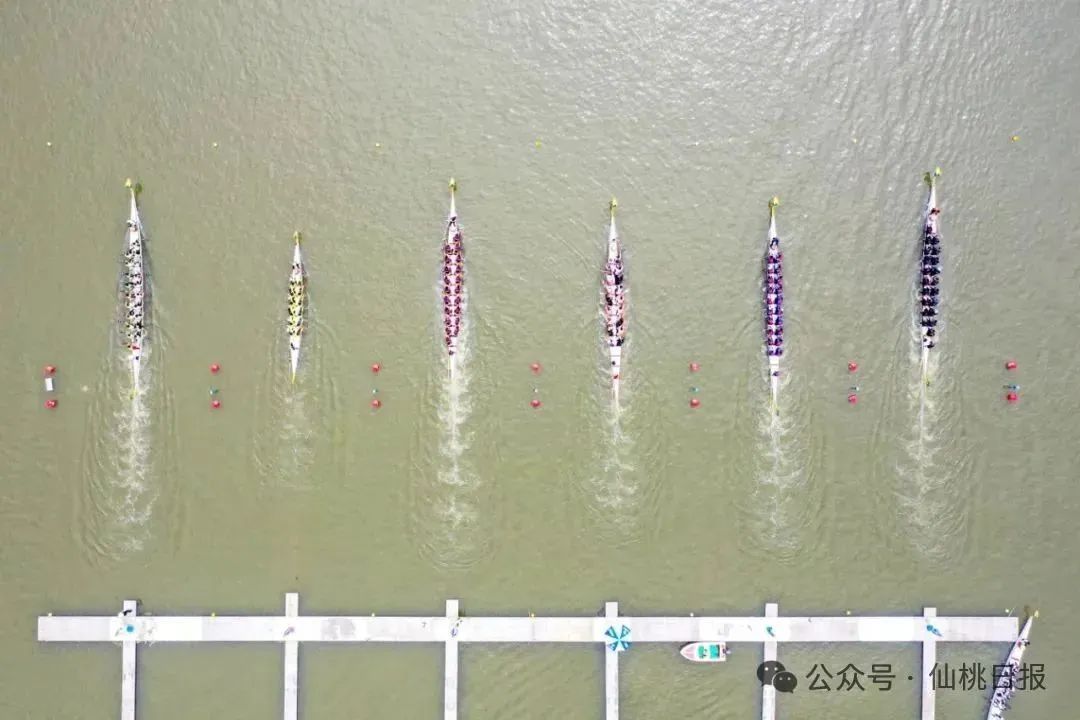 最新無(wú)為三汊河龍舟賽，學(xué)習(xí)變遷之路，自信與榮耀的匯聚點(diǎn)