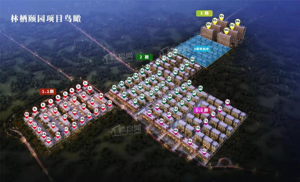 永清森林家園最新動態(tài)揭秘，森林中的日常趣事一網(wǎng)打盡！