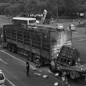 成都交通事故最新動態(tài)，深度解析事故及其影響