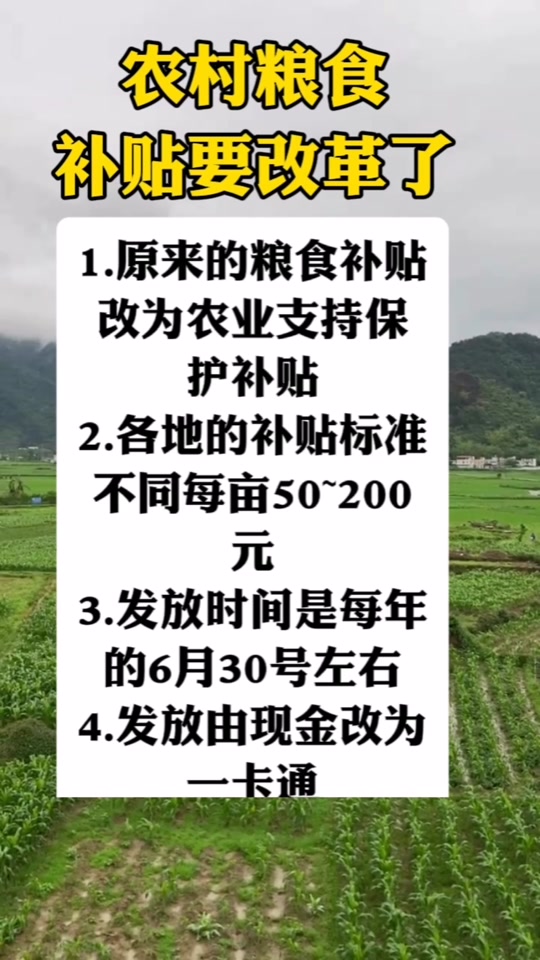 關(guān)于糧食直補(bǔ)的最新消息，展望2025年的政策動(dòng)向